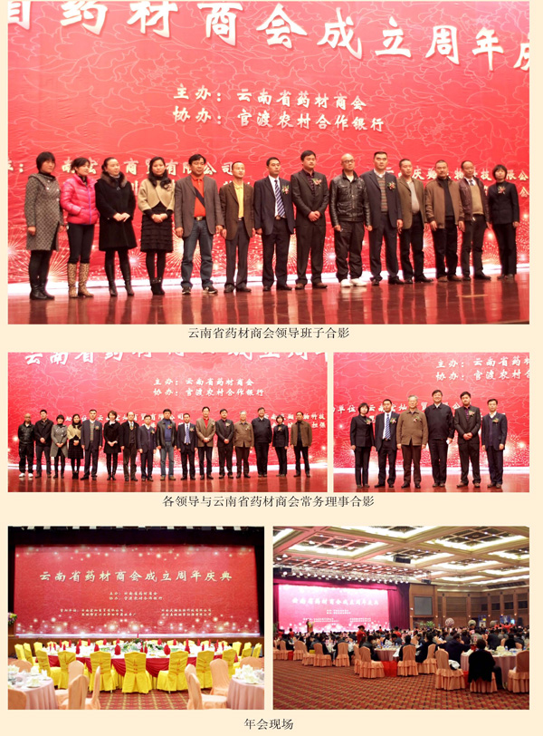 云南省药材商会成立周年庆.jpg